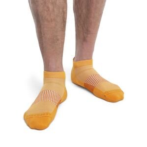 Pánské merino ponožky ICEBREAKER Mens Multisport Light Micro, Solar/Earth velikost: 42-44 (M)
