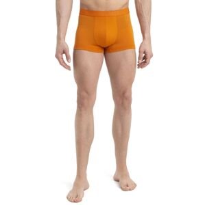 Pánské merino boxerky ICEBREAKER Mens Anatomica Cool-Lite Trunks, Earth velikost: XL